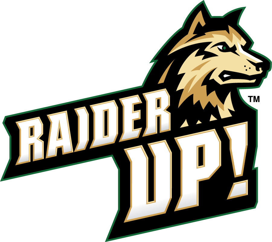Wright State Raiders 2017-Pres Secondary Logo DIY iron on transfer (heat transfer)